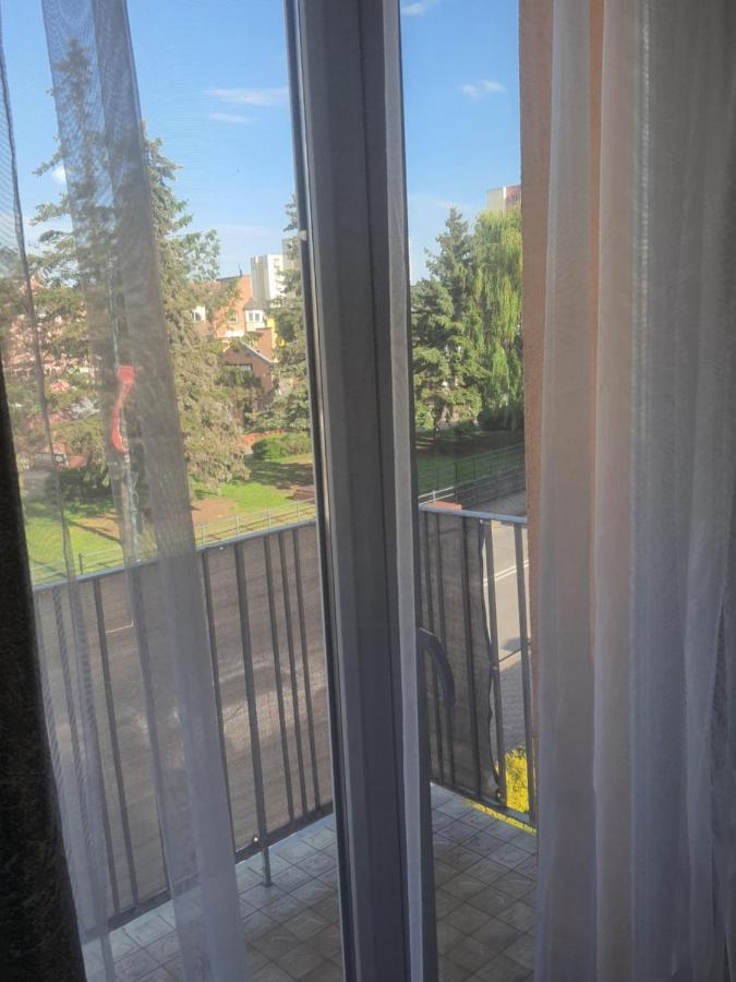 Apartmán Apartament Nad Fontanna Malbork Exteriér fotografie